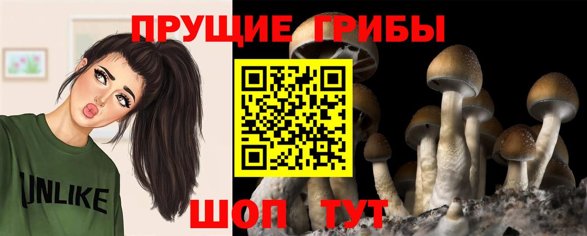 Нововоронеж  Псилоцибиновые грибы Psilocybine cubensis  Вход с VPN  Псилоцибиновые грибы мухоморы 