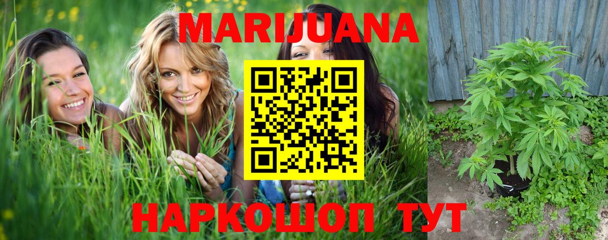 Шишки марихуана сатива  Вход с VPN  Марихуана семена  Бошки Шишки VHQ  Нововоронеж  Шишки марихуана Amnesia 